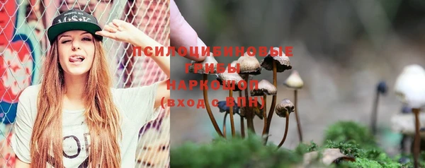 дживик Бородино