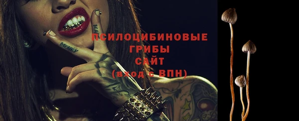 эйфоретик Бронницы