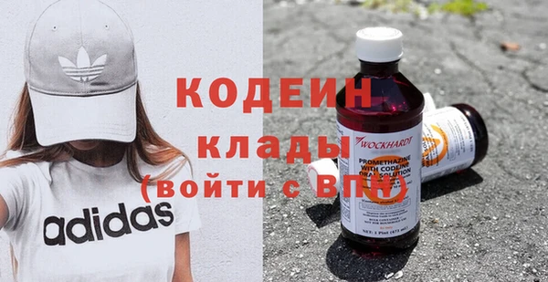 дживик Бородино