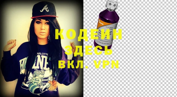 дживик Бородино