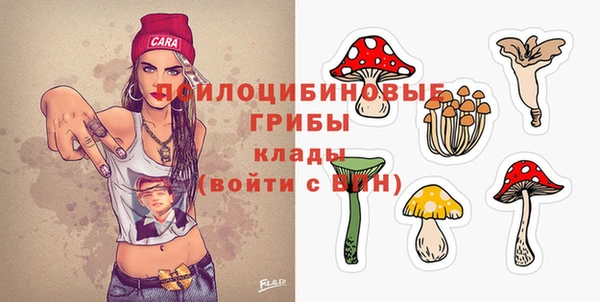 эйфоретик Бронницы