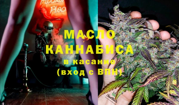 дживик Бородино