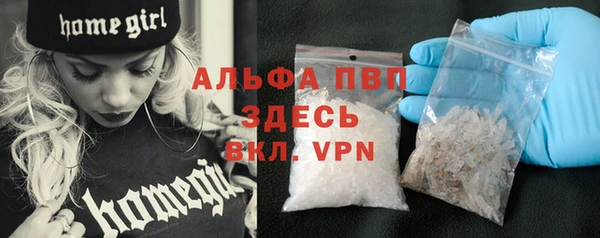 дживик Бородино