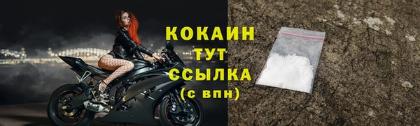 дживик Бородино