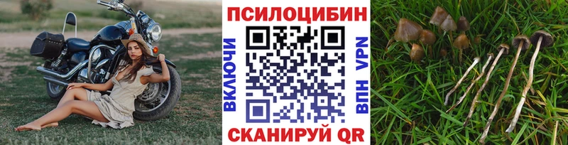 Купить закладки  Мариинск  Псилоцибиновые грибы мицелий 