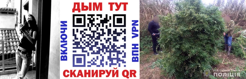 Купить где  Мариинск  Марихуана Bruce Banner 
